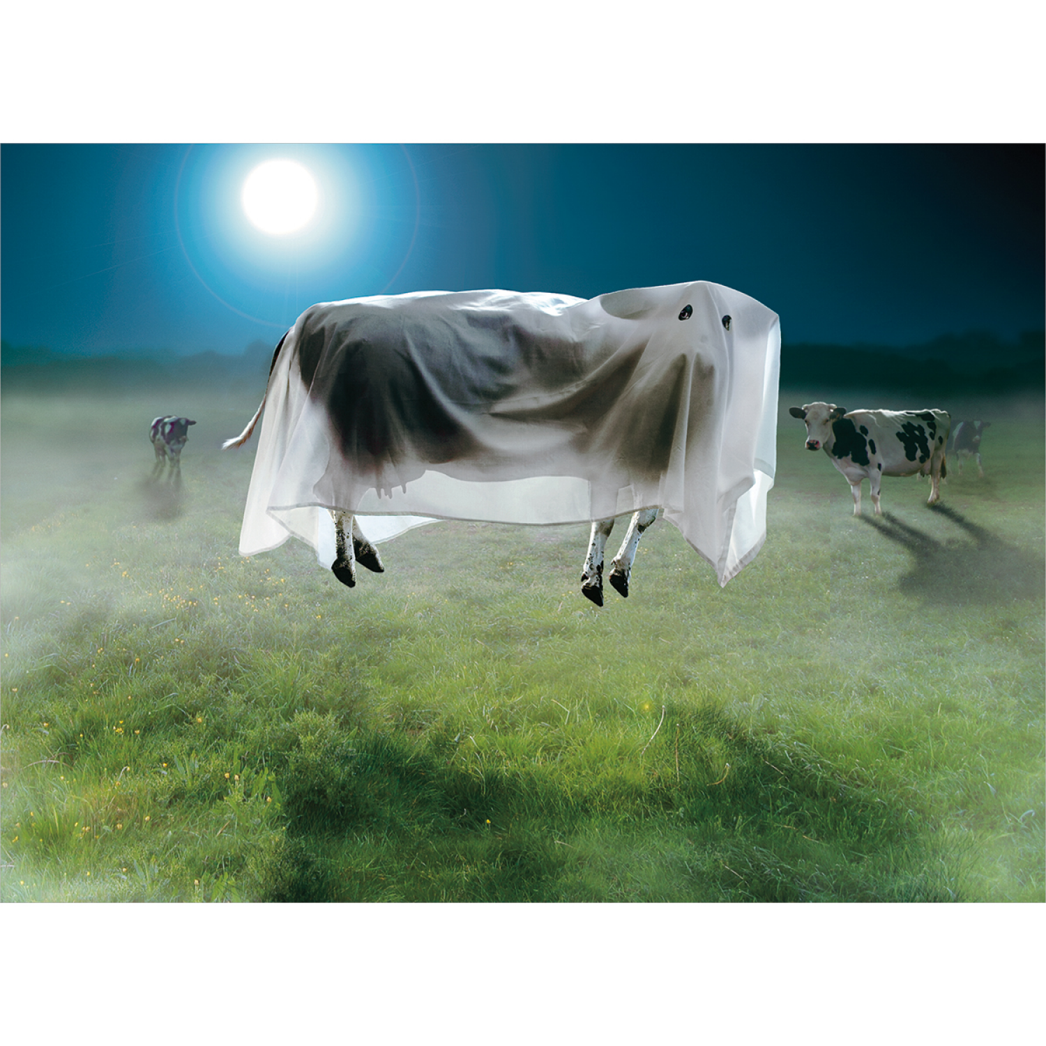 slide 1 of 1, Avanti Card Halloween Ghost Cow - Core, 1 ct