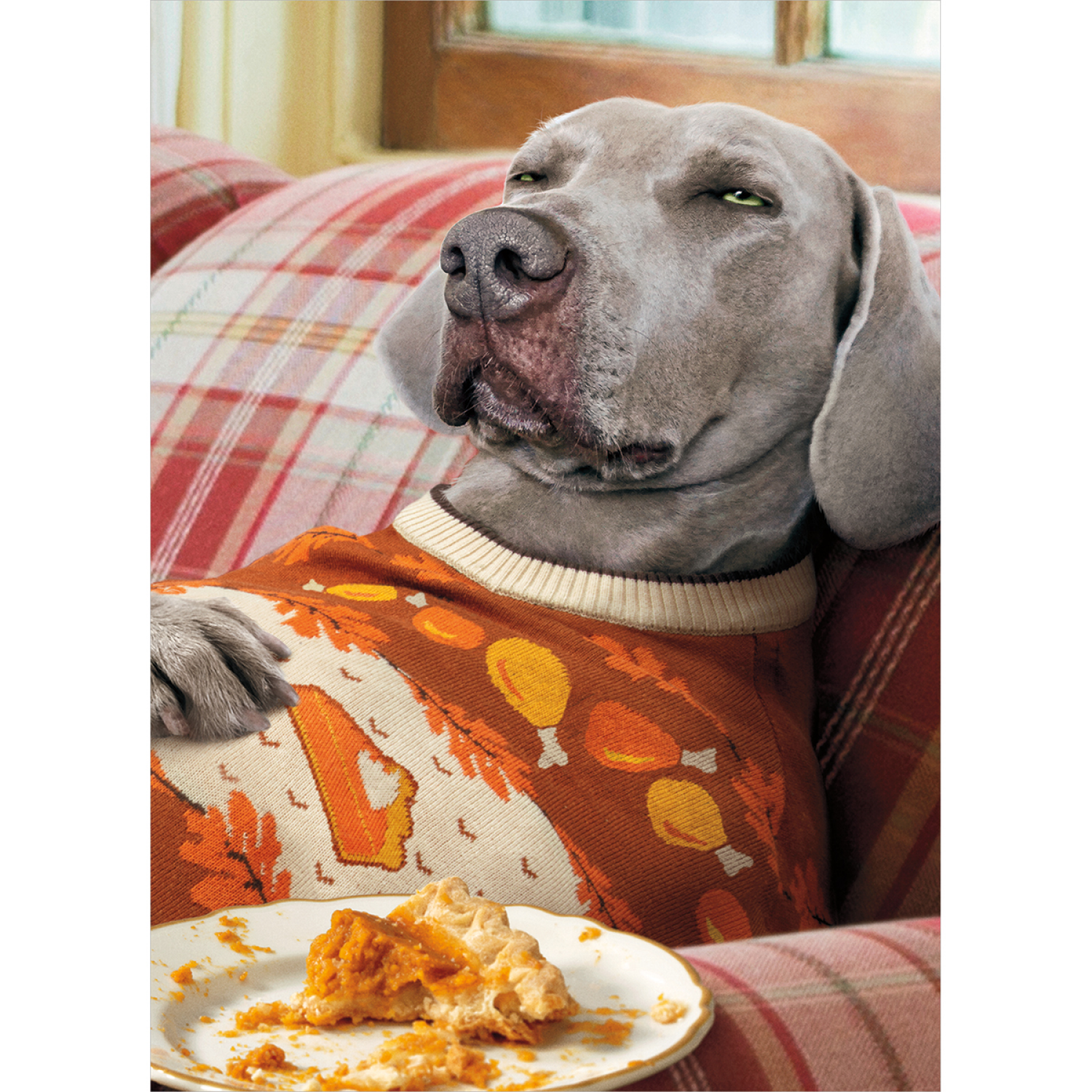 slide 1 of 1, Avanti Card Thanksgiving Napping Dog, 1 ct