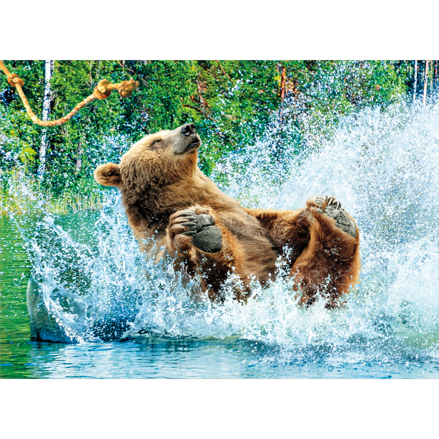 slide 1 of 1, Avanti Card Birthday Cannonball Bear, 1 ct