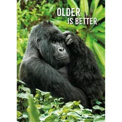 Avanti Card Birthday Gorilla Thinker