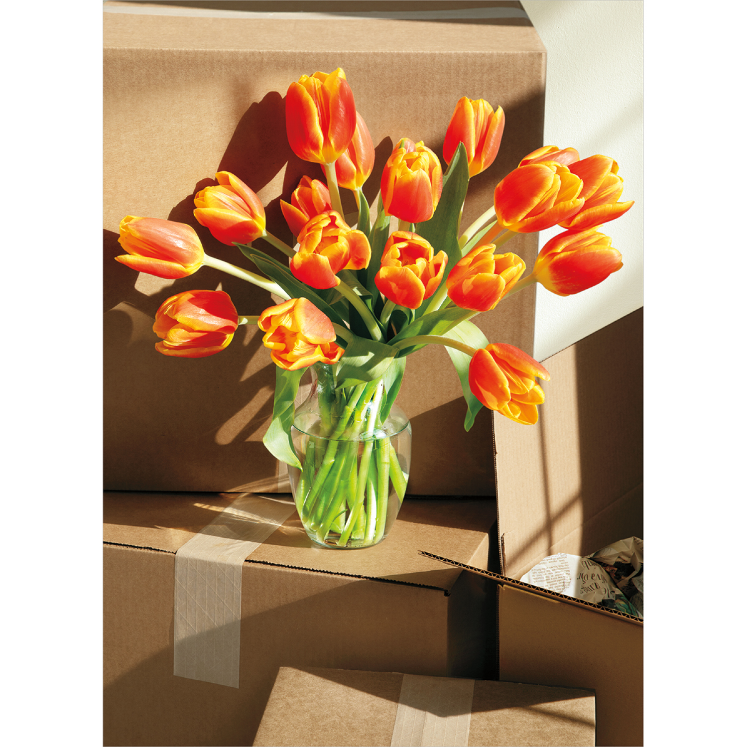 slide 1 of 1, Avanti Card New Home Tulip Vase, 1 ct