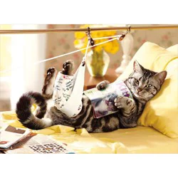 Avanti Cat In Traction Get Well Card, 4 In X 6 In, 1 Ct