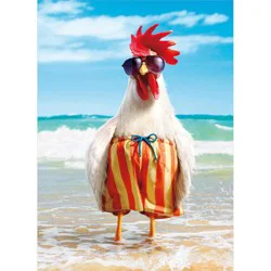 Avanti Rooster Wears Swimsuit Birthday Card, 4 In X 6 In, 1 Ct