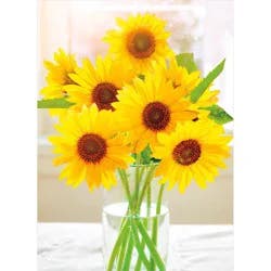Avanti Small Sunflowers In Glass Vase Blank Card, 4 In X 6 In, 1 Ct