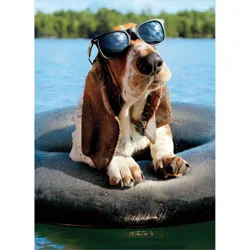 Avanti Basset Hound Wearing Sunglasses Birthday Card, 4 In X 6 In, 1 Ct