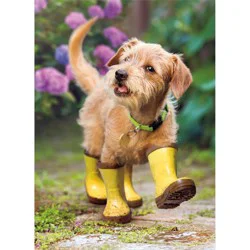Avanti Puppy In Garden Get Well Card, 4 In X 6 In, 1 Ct