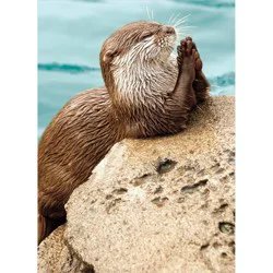 Avanti Praying Otter Thank You Card, 4 In X 6 In, 1 Ct
