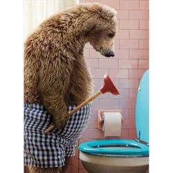 Avanti Bear With Toilet Plunger Birthday Card, 4 In X 6 In, 1 Ct