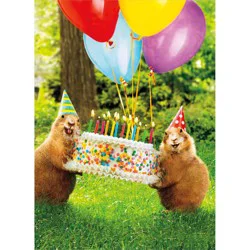 Avanti Prairie Dog Party Birthday Card, 4 In X 6 In, 1 Ct