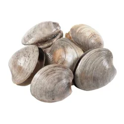 Littleneck Clams - apx 4-6 ct Fresh