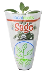 Local Roots Sage