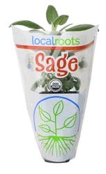 Local Roots Sage