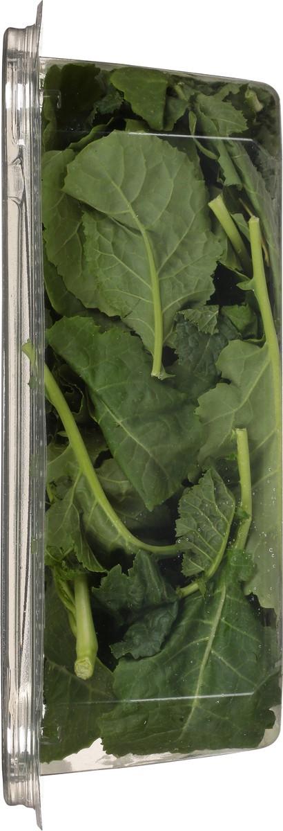 slide 8 of 9, Full Circle Organic Baby Kale, 5 oz