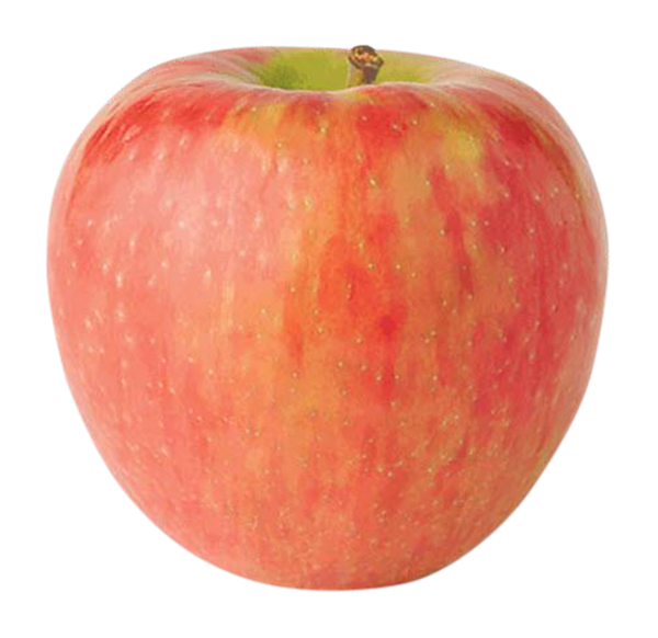 slide 1 of 1, Organic Honeycrisp Apples, 1 ct
