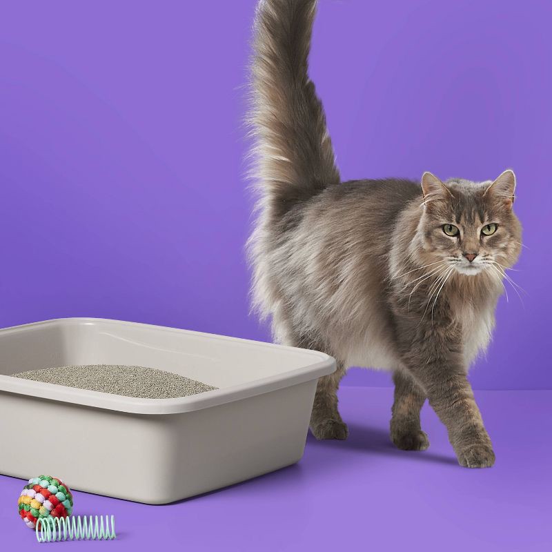 slide 2 of 4, Scented Clumping Cat Litter Jug - 20lbs - up&up™, 20 lb