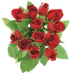 Northgate Dozen Roses Red
