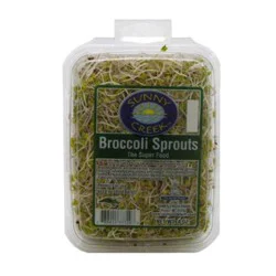 Sunny Creek Broccoli Sprouts