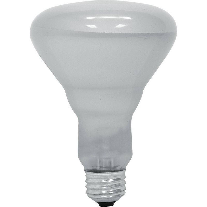 slide 2 of 2, GE Household Lighting GE 65w 6pk R30 Incandescent Light Bulb White, 6 ct