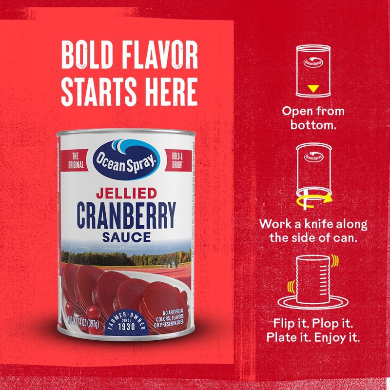 slide 6 of 11, Ocean Spray Jellied Cranberry Sauce - 14oz, 14 oz