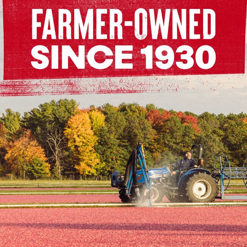 slide 5 of 11, Ocean Spray Jellied Cranberry Sauce - 14oz, 14 oz