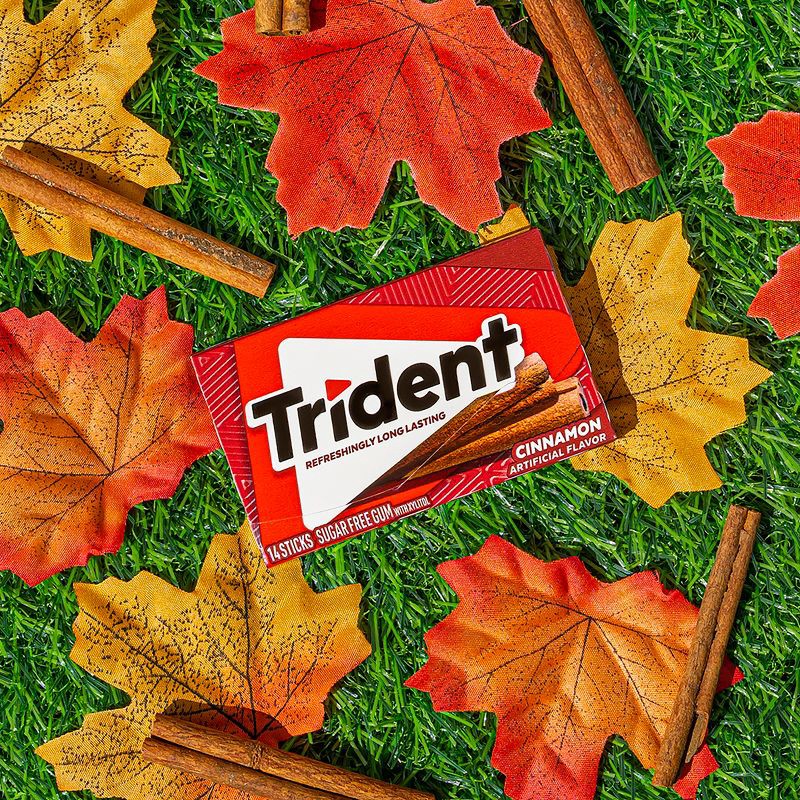 slide 4 of 14, Trident Cinnamon Sugar Free Gum - 2.82oz, 2.82 oz