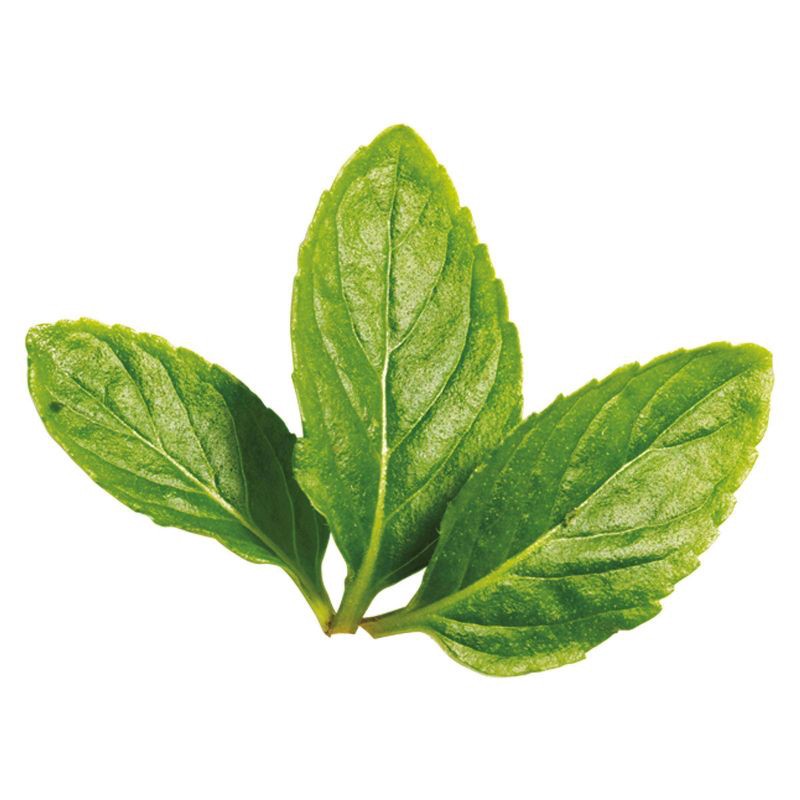 slide 8 of 9, Tazo Regenerative Organic Zen Green Tea - 16ct, 16 ct