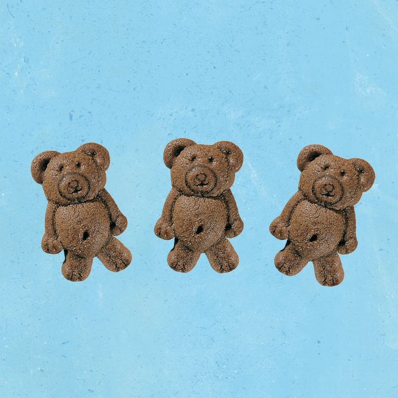 slide 3 of 14, Teddy Grahams Chocolate Kids' Snacks - 10oz, 10 oz