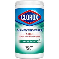 Clorox Fresh Scent Limited Edition Back to School Variety Pack Disinfecting Cleaning Wipes - 75ct