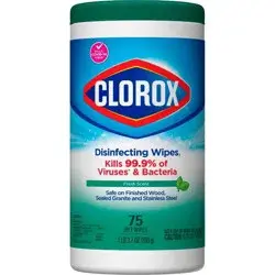 Clorox Fresh Scent Bleach Free Disinfecting Wipes - 75ct