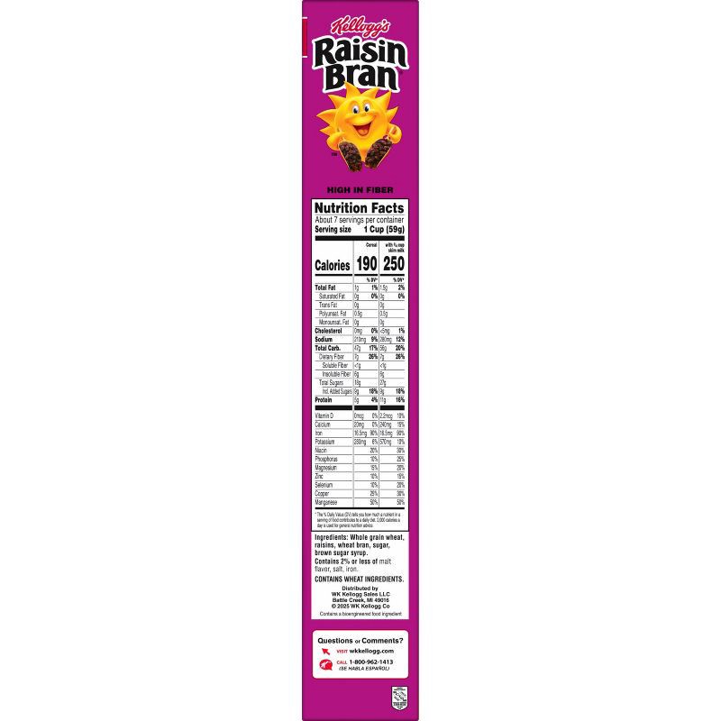 slide 14 of 19, Kellogg's Raisin Bran Breakfast Cereal - 16.1oz, 16.1 oz