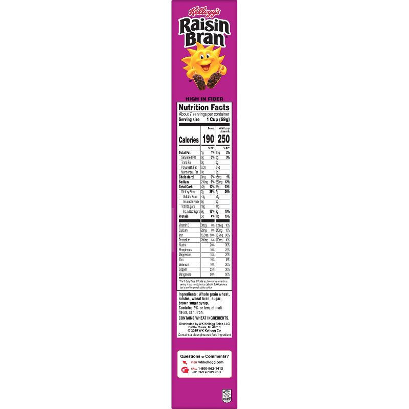 slide 10 of 19, Kellogg's Raisin Bran Breakfast Cereal - 16.1oz, 16.1 oz