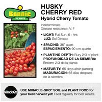 slide 7 of 9, Bonnie Plants Tomato - Husky Cherry Red, 19.3 oz