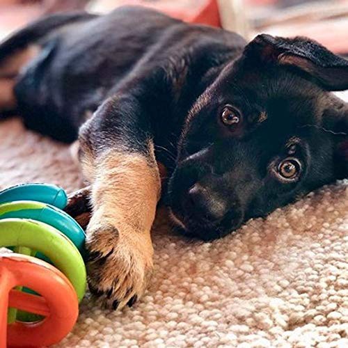 slide 7 of 10, JW Pet Dogs In Action Rubber Dog Toy, 1 ct