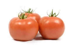 Organic Red Tomato