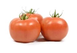Organic Red Tomato
