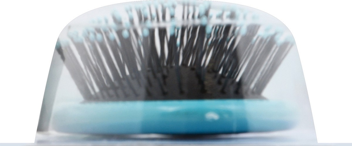 slide 6 of 8, Wet Brush Brush 1 ea, 1 ct