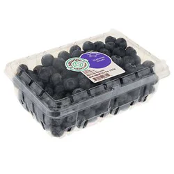 Fresh Blueberries Pint