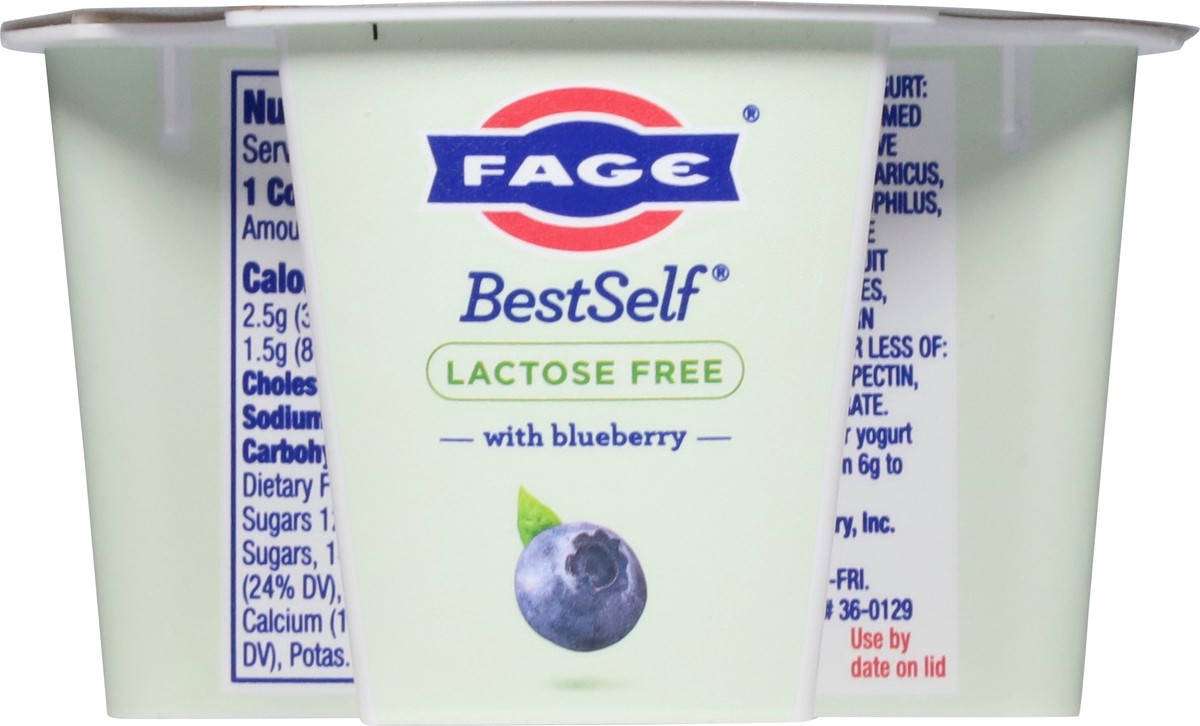 slide 6 of 14, FAGE BestSelf Blueberry 5.3 oz., 5.3 oz