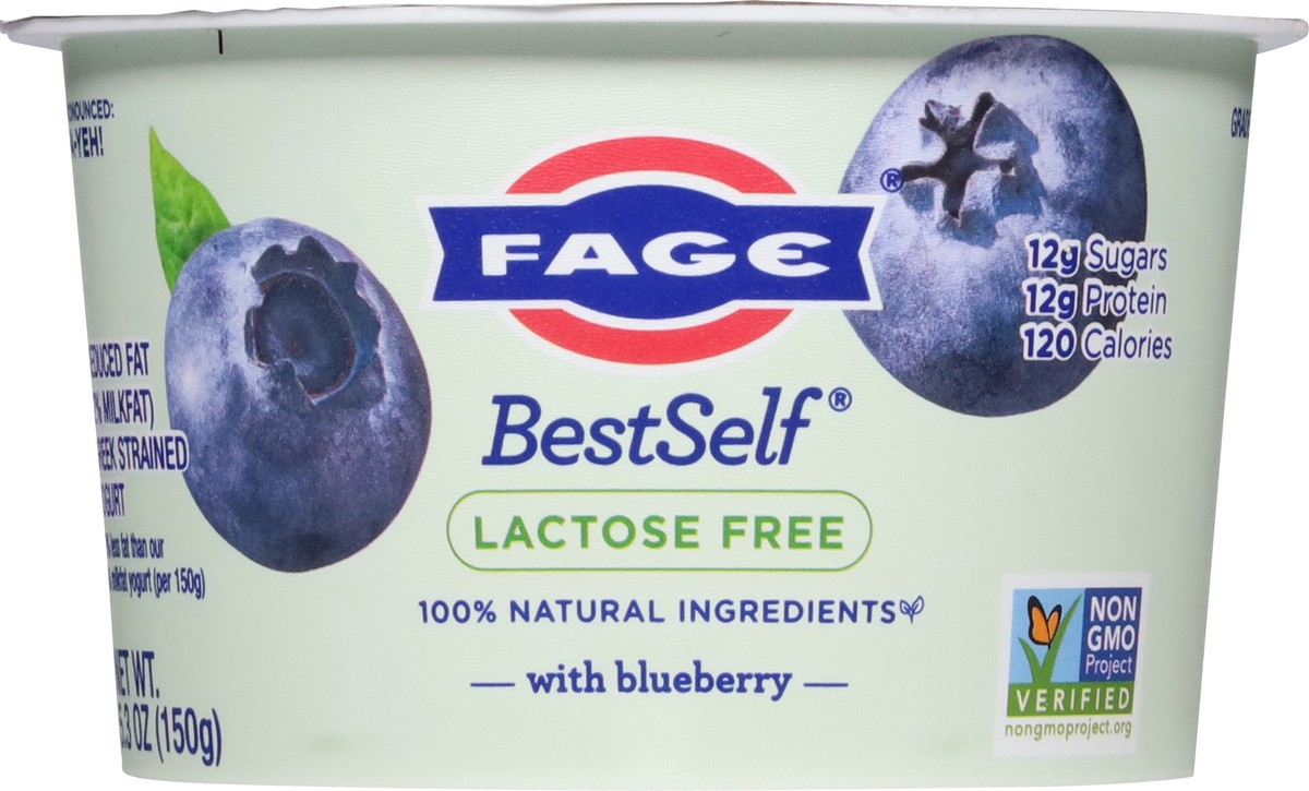 slide 9 of 14, FAGE BestSelf Blueberry 5.3 oz., 5.3 oz