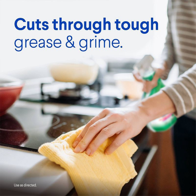 slide 6 of 16, Clorox Original Clean-Up All Purpose Cleaner with Bleach Spray Bottle - 32oz, 32 oz