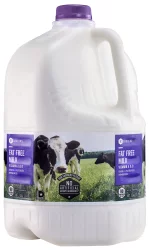 SE Grocers Fat Free Milk