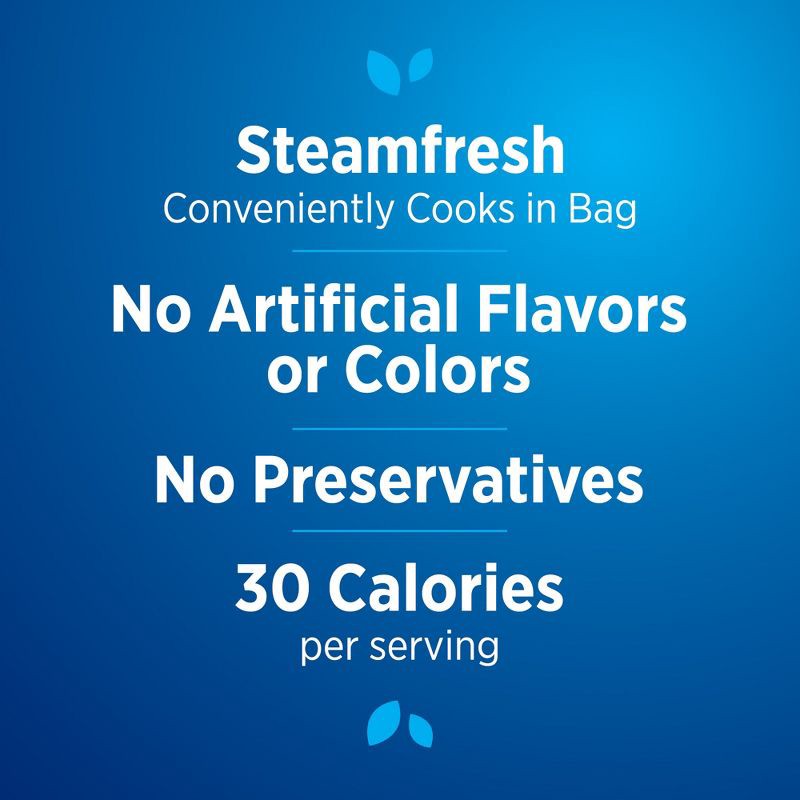 slide 2 of 7, Birds Eye Steamfresh Frozen Broccoli Florets - 10.8oz, 10.8 oz