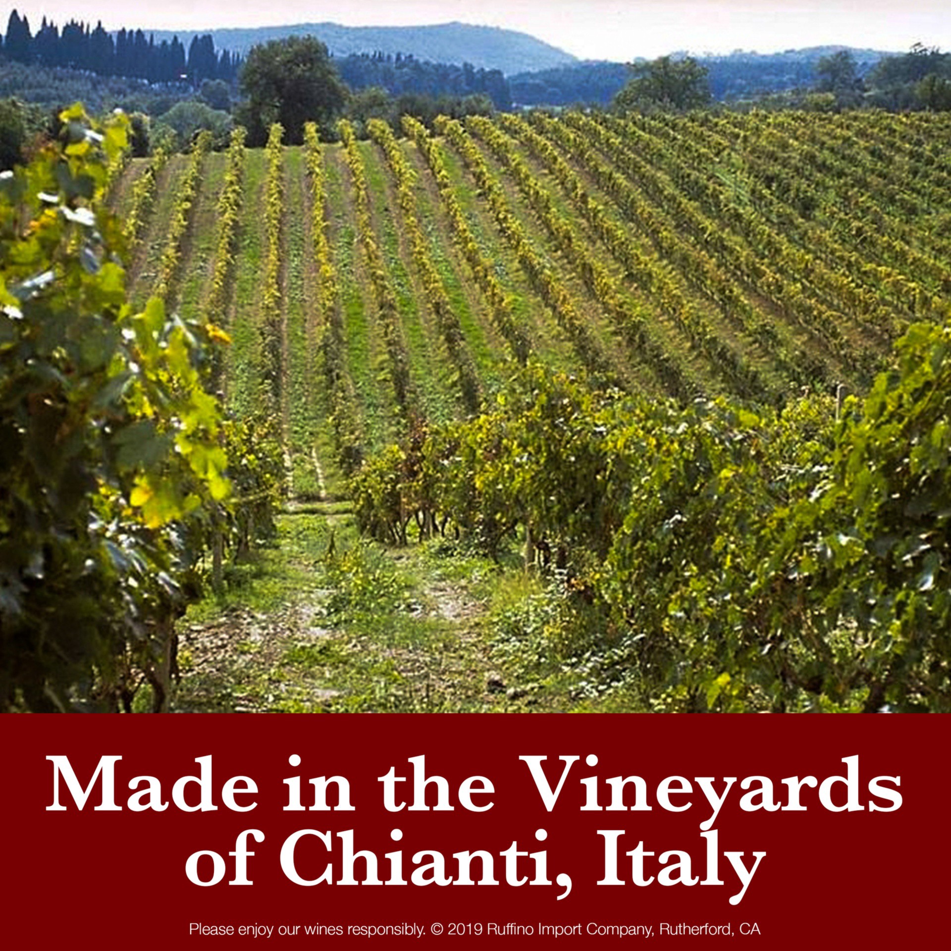 slide 3 of 7, Ruffino Il Leo Chianti Superiore DOCG Sangiovese Red Blend, Italian Red Wine, 750 mL Bottle, 25.36 fl oz