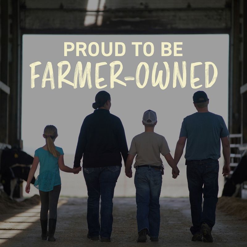 slide 11 of 12, Land O'Lakes Land O Lakes Salted Butter - 1lb, 1 lb