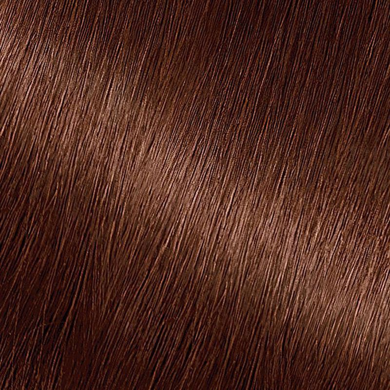 slide 2 of 9, Garnier Nutrisse Nourishing Permanent Hair Color Creme - 434 Deep Chestnut Brown, 1 ct
