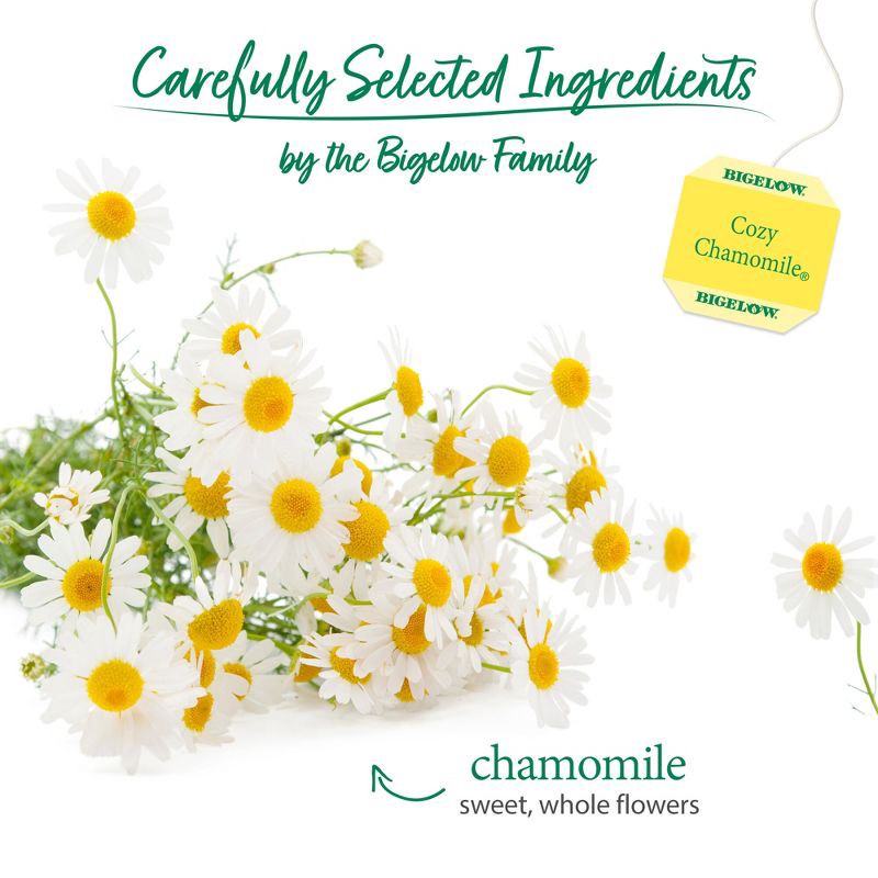 slide 9 of 12, Bigelow Cozy Chamomile Herbal Tea Bags - 20ct, 20 ct