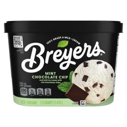 Breyers Ice Cream Mint Chocolate Chip Ice Cream - 48oz - Breyers