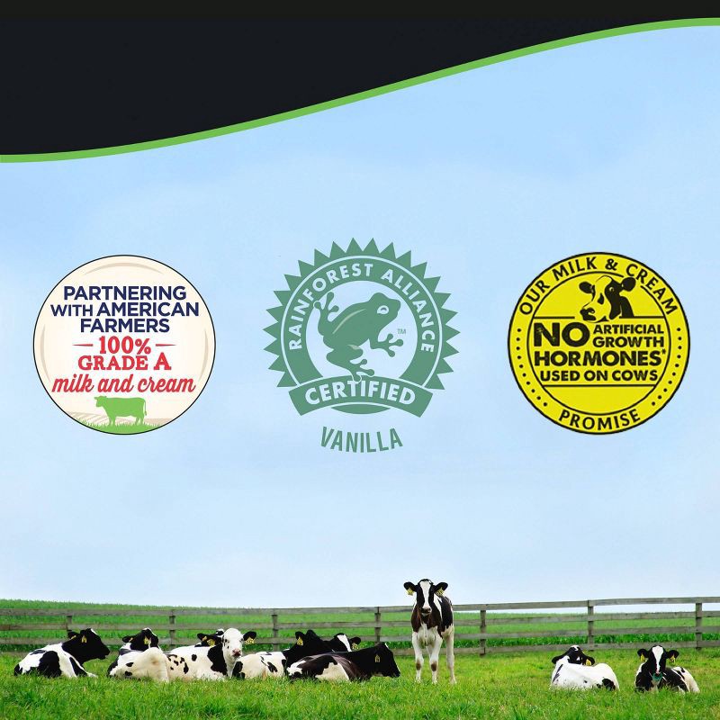 slide 6 of 9, Breyers Ice Cream Breyers Original French Vanilla Ice Cream - 48oz, 48 oz