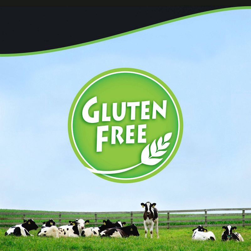 slide 7 of 9, Breyers Ice Cream Breyers Original French Vanilla Ice Cream - 48oz, 48 oz