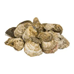 Chincoteague Wild Caught East Coast Oysters Fresh